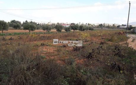 Industrial space 17.000sqm for sale-Inofita » Center