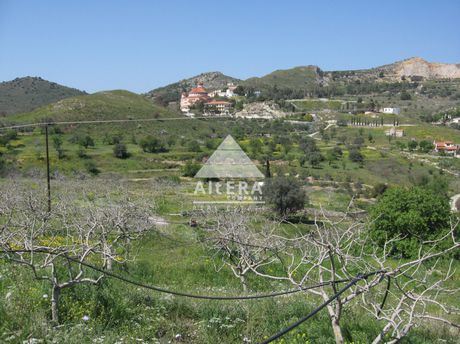 Αγροτεμάχια 14.000 τ.μ. προς πώληση