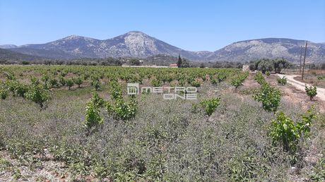 Land plot 100.000sqm for sale-Thiva » Ypato
