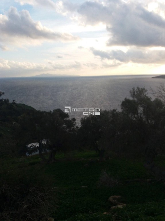 Αγροτεμάχια 5.660 τ.μ. προς πώληση, Χώρα Άνδρου