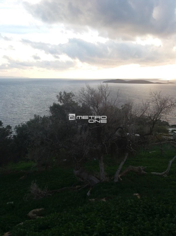 Αγροτεμάχια 5.660 τ.μ. προς πώληση, Χώρα Άνδρου