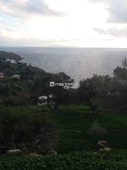Αγροτεμάχια 5.660τ.μ. για πώληση-Άνδρος » Χώρα