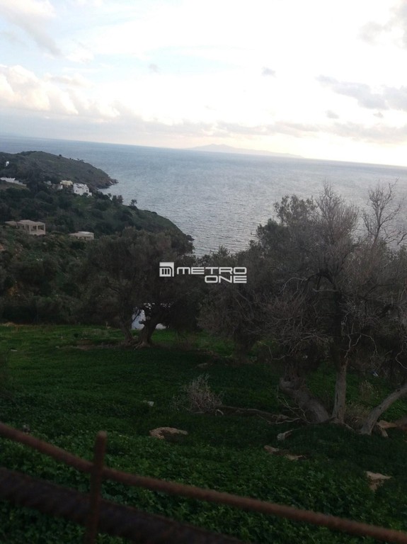 Αγροτεμάχια 5.660 τ.μ. προς πώληση, Χώρα Άνδρου