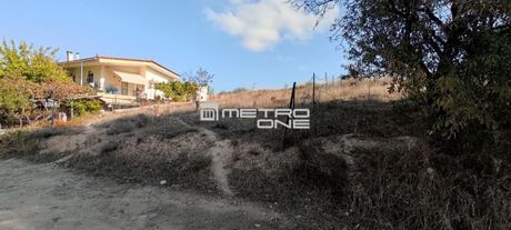Οικόπεδο 600τ.μ. για πώληση-Ωρωπός » Μπάφι