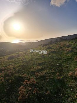 Αγροτεμάχια 8.000τ.μ. για πώληση-Άνδρος » Χώρα