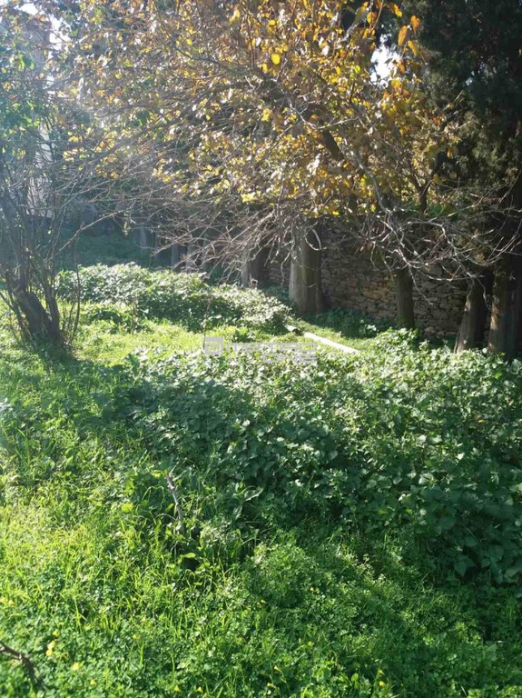 Οικόπεδο 325 τ.μ. προς πώληση, Χώρα Άνδρου