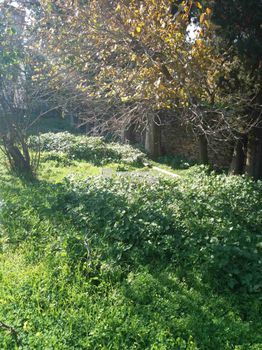 Οικόπεδο 325τ.μ. για πώληση-Άνδρος » Χώρα