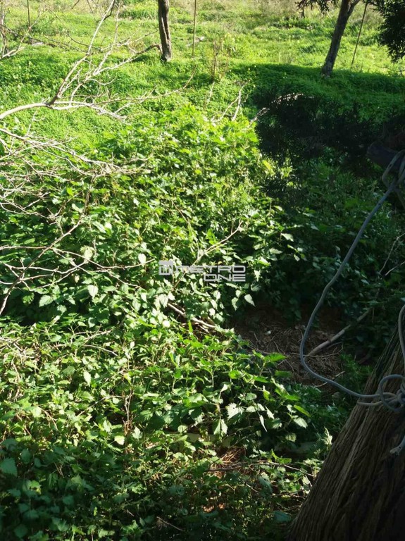 Οικόπεδο 325 τ.μ. προς πώληση, Χώρα Άνδρου