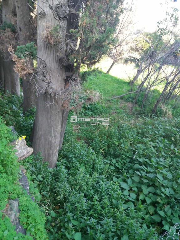 Οικόπεδο 325 τ.μ. προς πώληση, Χώρα Άνδρου