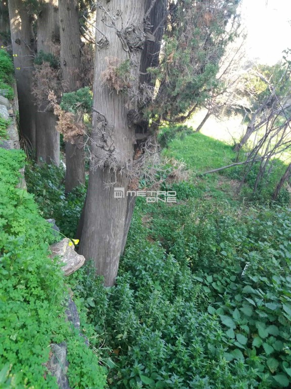 Οικόπεδο 325 τ.μ. προς πώληση, Χώρα Άνδρου