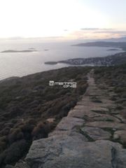 Αγροτεμάχια 104.000 τ.μ. για πώληση