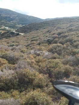 Parcel 4.080sqm for sale-Andros » Idrousa