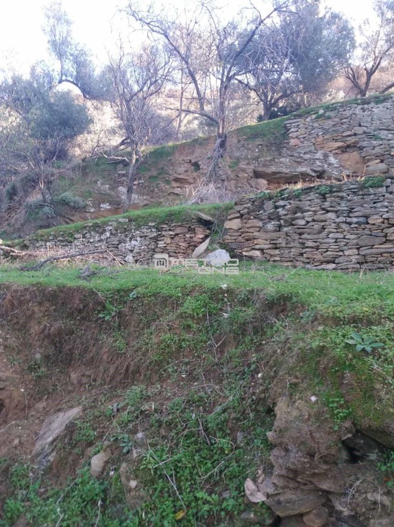 Οικόπεδο 1.144 τ.μ. προς πώληση, Χώρα Άνδρου