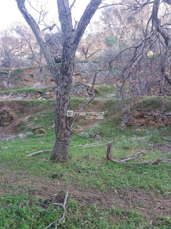 Οικόπεδο 1.144 τ.μ. προς πώληση, Χώρα Άνδρου