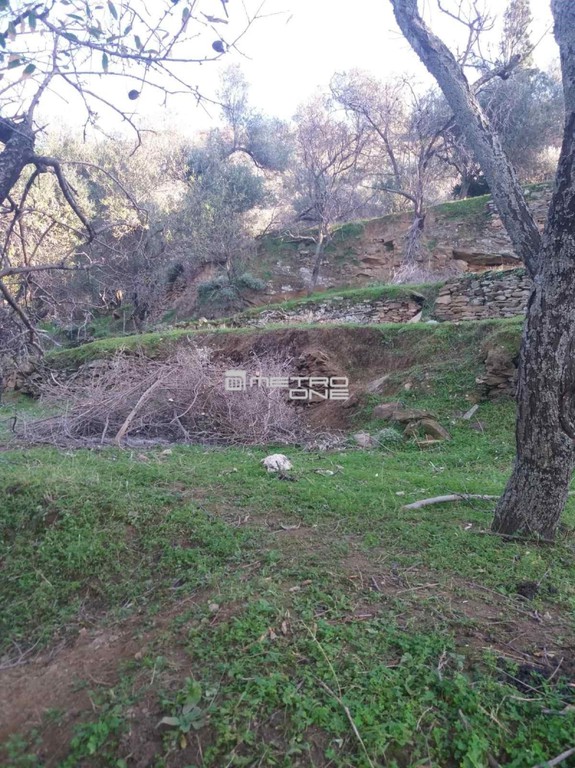Οικόπεδο 1.144 τ.μ. προς πώληση, Χώρα Άνδρου