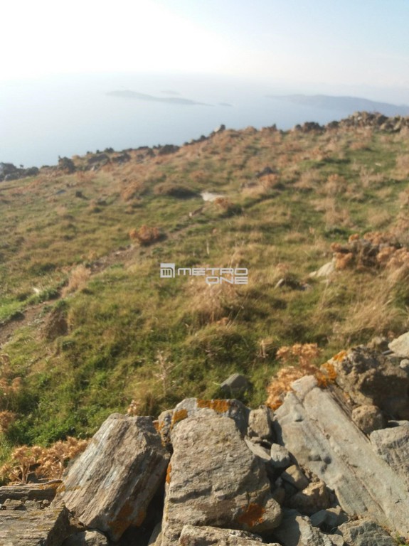 Αγροτεμάχια 16.750 τ.μ. προς πώληση, Υδρούσα