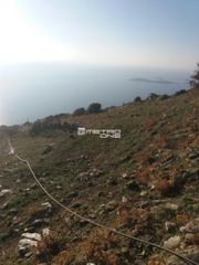 Αγροτεμάχια 16.750 τ.μ. για πώληση