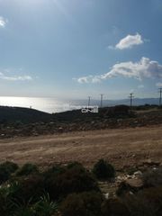 Αγροτεμάχια 14.924 τ.μ. για πώληση