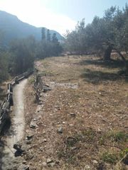 Αγροτεμάχια 1.800 τ.μ. προς πώληση, Χώρα Άνδρου-thumb-15