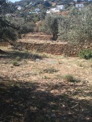 Αγροτεμάχια 1.800 τ.μ. προς πώληση, Χώρα Άνδρου-thumb-8
