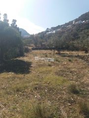 Αγροτεμάχια 1.800 τ.μ. προς πώληση, Χώρα Άνδρου-thumb-12