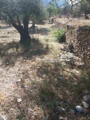Αγροτεμάχια 1.800 τ.μ. προς πώληση, Χώρα Άνδρου-thumb-3