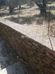 Αγροτεμάχια 1.800 τ.μ. προς πώληση, Χώρα Άνδρου-thumb-5
