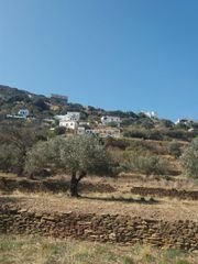 Αγροτεμάχια 1.800 τ.μ. προς πώληση, Χώρα Άνδρου-thumb-1