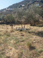 Αγροτεμάχια 1.800 τ.μ. προς πώληση, Χώρα Άνδρου-thumb-17