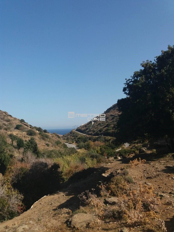 Αγροτεμάχια 4.700 τ.μ. προς πώληση, Χώρα Άνδρου
