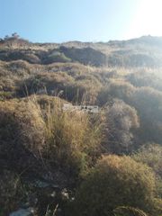 Αγροτεμάχια 4.300 τ.μ. προς πώληση, Χώρα Άνδρου-thumb-7