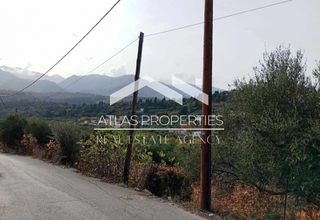 Οικόπεδο 4.480 τ.μ. για πώληση, Ν. Χανίων, Φρέ-thumb-4