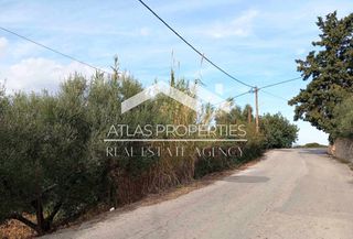 Οικόπεδο 4.480 τ.μ. για πώληση, Ν. Χανίων, Φρέ-thumb-6