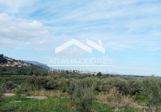 Οικόπεδο 4.480 τ.μ. για πώληση, Ν. Χανίων, Φρέ-thumb-8