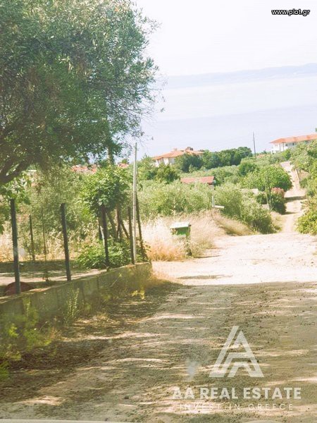 Αγροτεμάχια 8.000 τ.μ. πρός πώληση, Χαλκιδική, Πολύγυρος