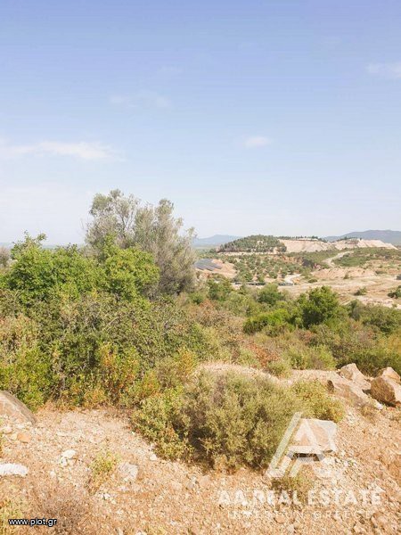 Αγροτεμάχια 8.000 τ.μ. πρός πώληση, Χαλκιδική, Πολύγυρος