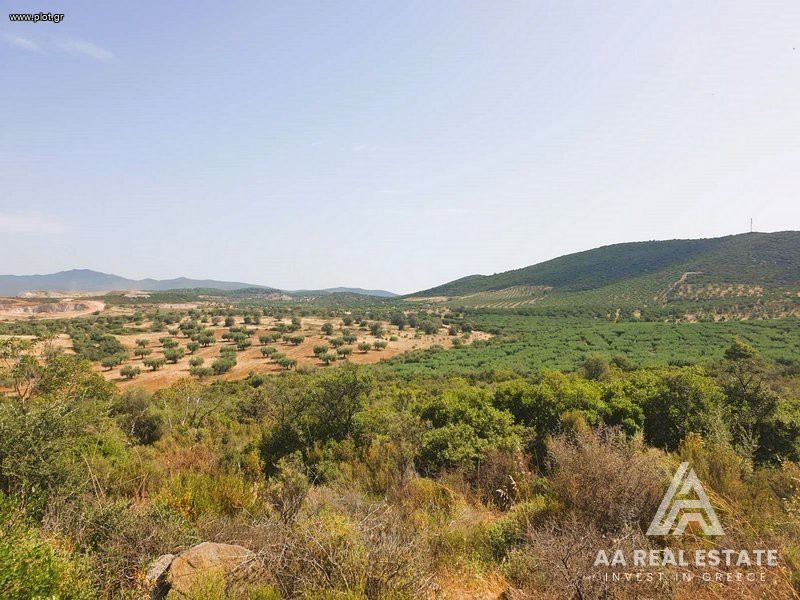 Αγροτεμάχια 8.000 τ.μ. πρός πώληση, Χαλκιδική, Πολύγυρος