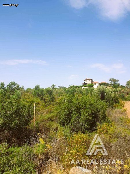 Αγροτεμάχια 8.000 τ.μ. πρός πώληση, Χαλκιδική, Πολύγυρος