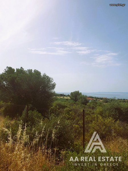 Αγροτεμάχια 8.000 τ.μ. πρός πώληση, Χαλκιδική, Πολύγυρος
