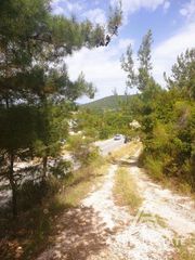 Αγροτεμάχια 2.550 τ.μ. για πώληση