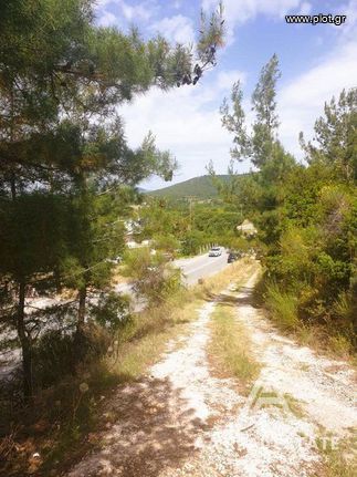 Αγροτεμάχια 2.550 τ.μ. για πώληση, Χαλκιδική, Πολύγυρος
