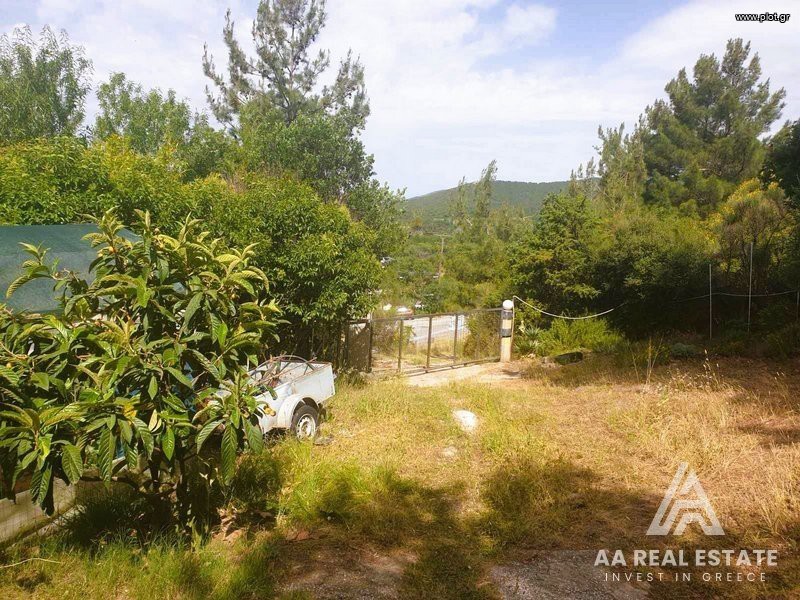 Αγροτεμάχια 2.550 τ.μ. πρός πώληση, Χαλκιδική, Πολύγυρος