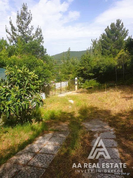 Αγροτεμάχια 2.550 τ.μ. πρός πώληση, Χαλκιδική, Πολύγυρος