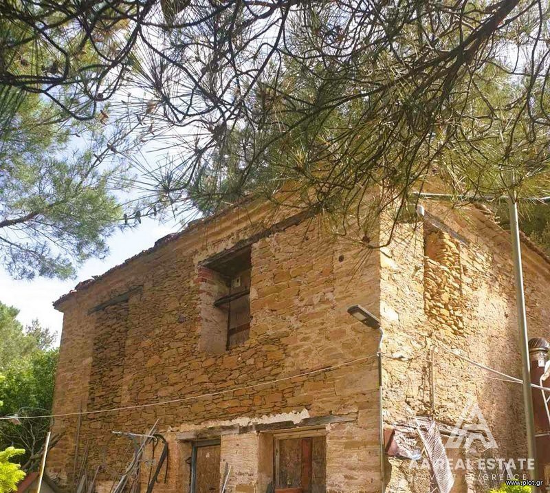 Αγροτεμάχια 2.550 τ.μ. πρός πώληση, Χαλκιδική, Πολύγυρος