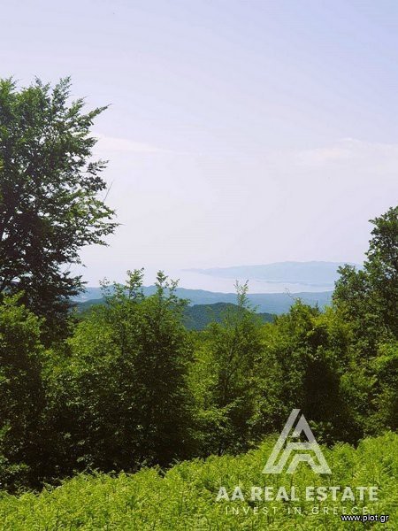 Αγροτεμάχια 6.000 τ.μ. πρός πώληση, Χαλκιδική, Πολύγυρος