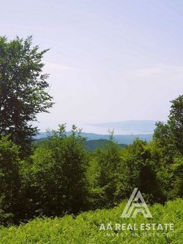 Αγροτεμάχια 6.000 τ.μ. για πώληση