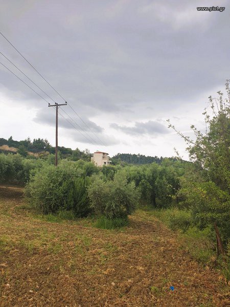 Οικόπεδο 821 τ.μ. πρός πώληση, Χαλκιδική, Παλλήνη