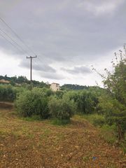 Οικόπεδο 821 τ.μ. για πώληση, Χαλκιδική, Παλλήνη-thumb-2