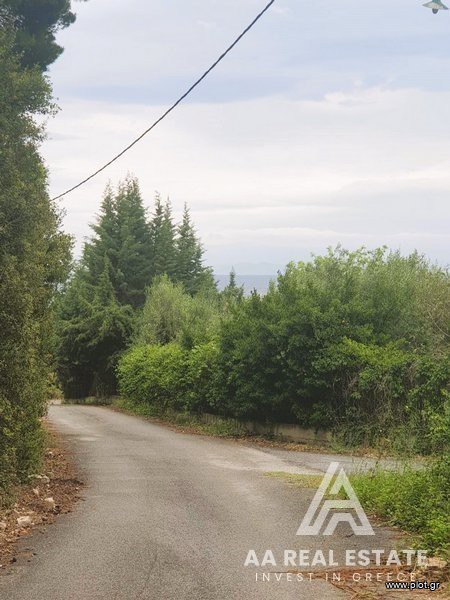 Αγροτεμάχια 3.900 τ.μ. προς πώληση, Καλογερικό Παλλήνης