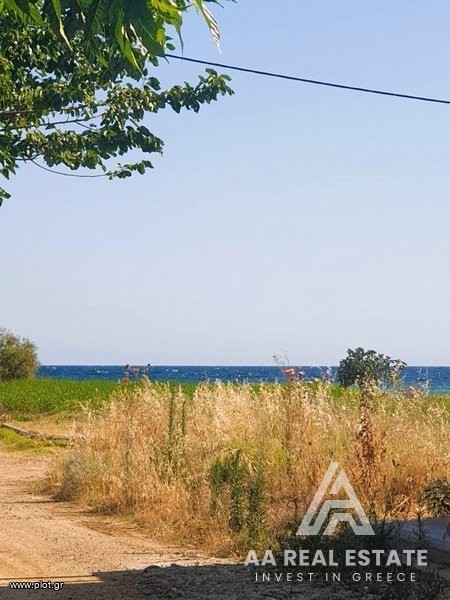 Οικόπεδο 440 τ.μ. πρός πώληση, Χαλκιδική, Μουδανιά